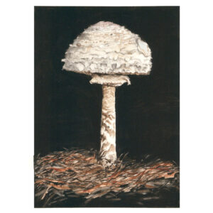 Avenging Angel Toadstool