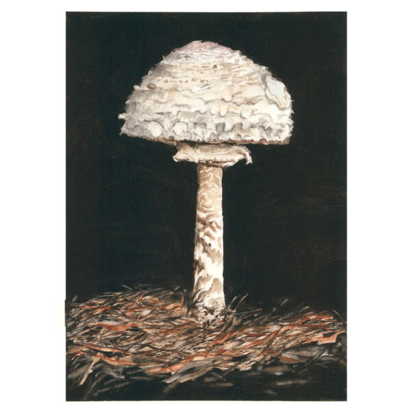 Avenging Angel Toadstool
