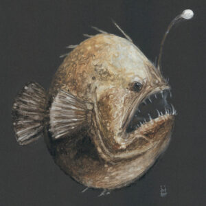 Angler Fish