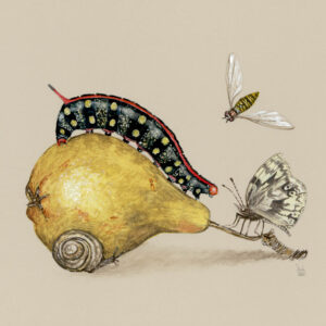 Caterpillar on a Pear